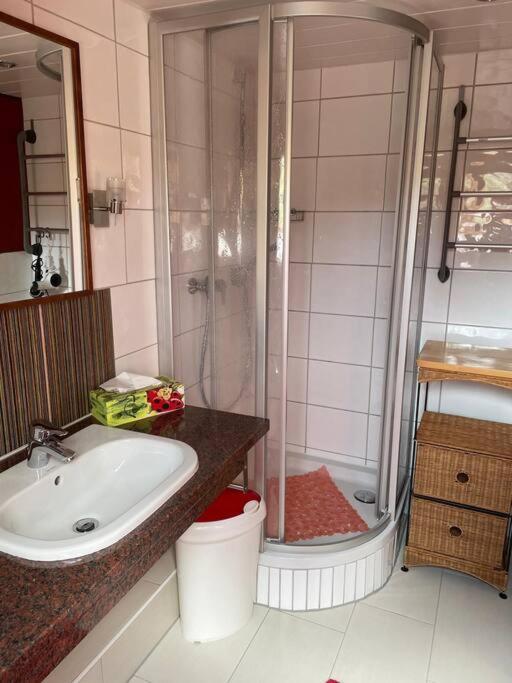 Traumhafte Maisonette-Wohnung Im Schwarzwald Freudenstadt Exterior foto